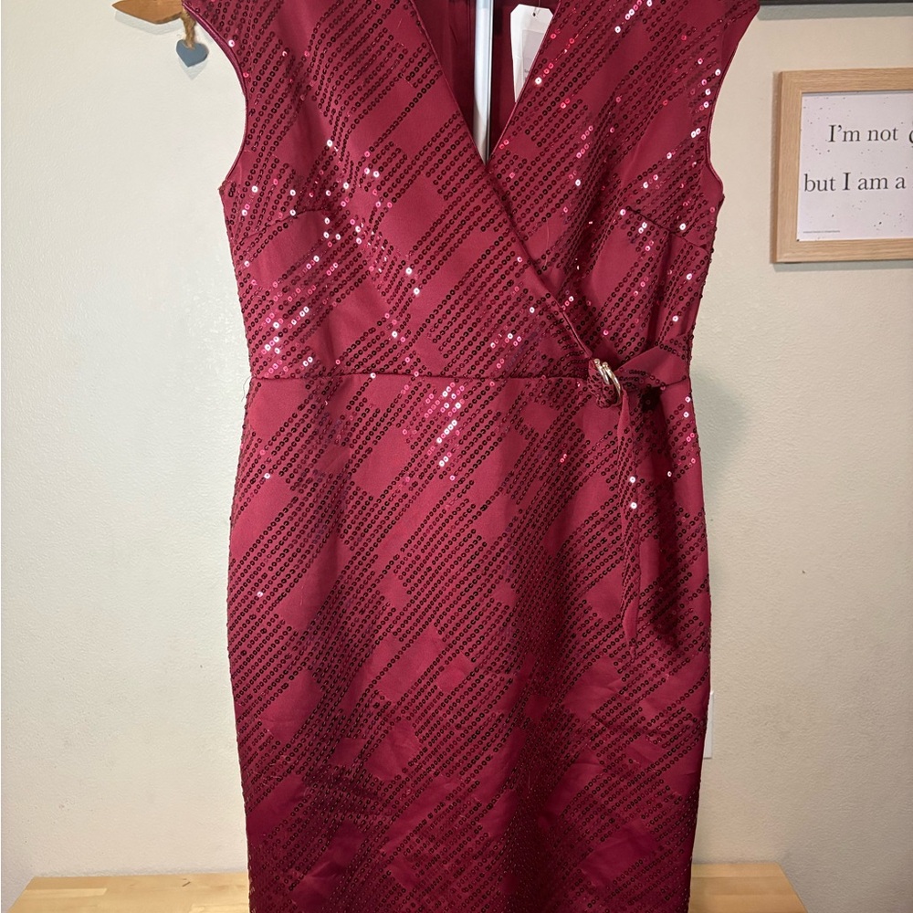 Elegant Wine Sequin Mini Dress